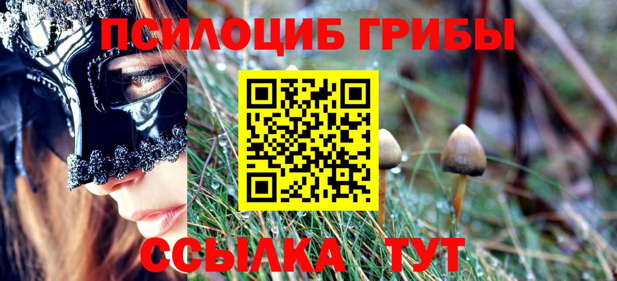Галлюциногенные грибы Cubensis  Вход с VPN  Новошахтинск 